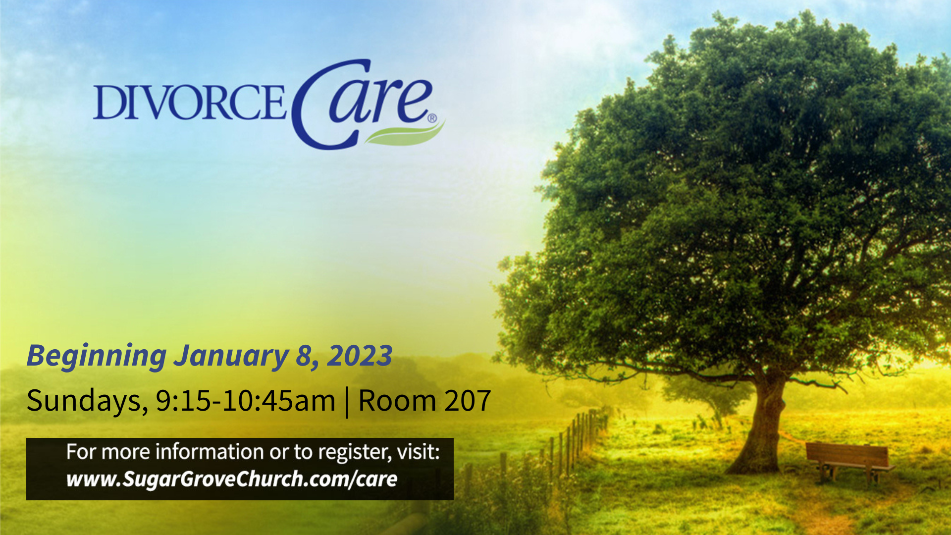Divorce Care original