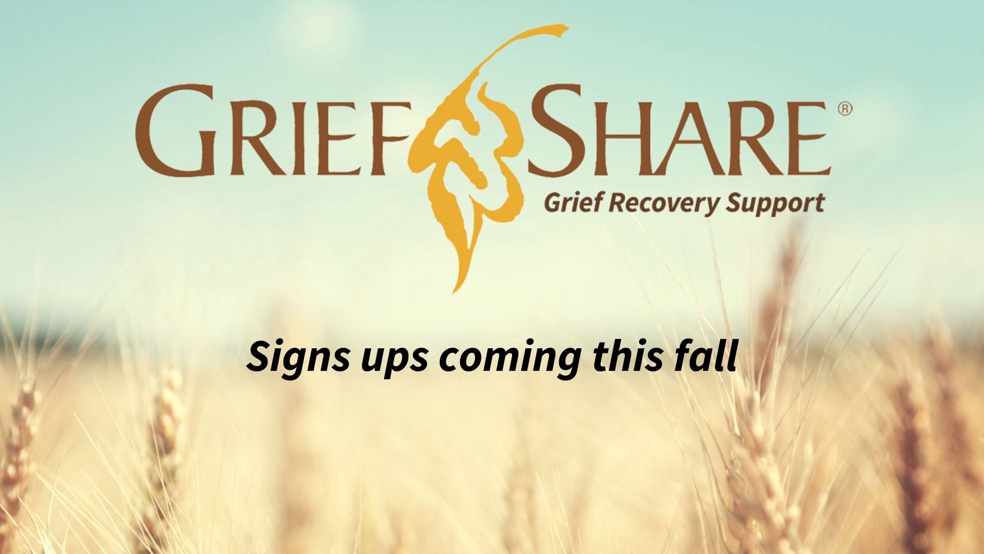 Grief Share Loop (3)